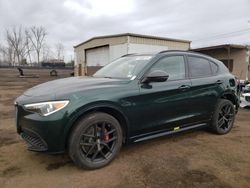 Salvage cars for sale at New Britain, CT auction: 2020 Alfa Romeo Stelvio TI