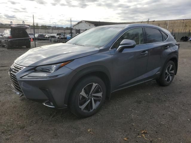 2020 Lexus NX 300H