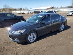 Salvage cars for sale at Columbia Station, OH auction: 2015 Honda Accord EX