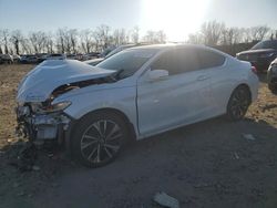 Salvage cars for sale at Baltimore, MD auction: 2016 Honda Accord EXL