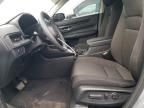 2010 Honda Odyssey EXL