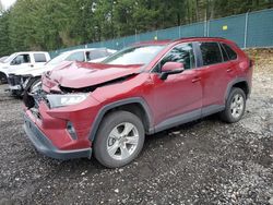 Toyota rav4 xle salvage cars for sale: 2019 Toyota Rav4 XLE