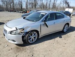 Salvage cars for sale at Baltimore, MD auction: 2009 Nissan Maxima S