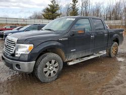 SUV salvage a la venta en subasta: 2012 Ford F150 Supercrew