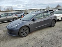 Tesla Model 3 salvage cars for sale: 2023 Tesla Model 3