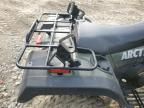 2004 ATV Arctic Cat