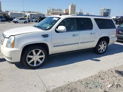 Salvage cars for sale at New Orleans, LA auction: 2011 Cadillac Escalade ESV Premium