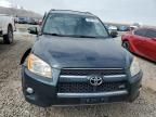 2010 Toyota Rav4 Limited