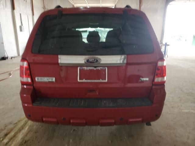 2011 Ford Escape Limited