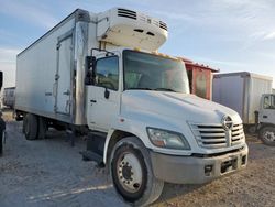 Hino 268 Refrigerated Truck salvage cars for sale: 2006 Hino 268 Refrigerated Truck