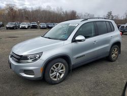 Salvage cars for sale at East Granby, CT auction: 2017 Volkswagen Tiguan S