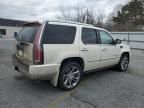 2008 Cadillac Escalade Luxury