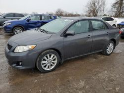 Salvage cars for sale at London, ON auction: 2010 Toyota Corolla Base