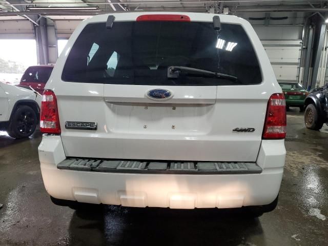 2008 Ford Escape XLT