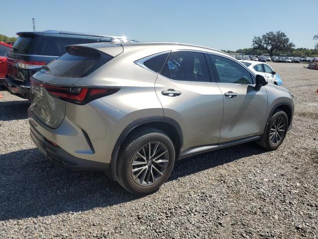 2022 Lexus NX 250