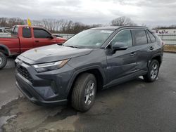 Toyota salvage cars for sale: 2024 Toyota Rav4 XLE