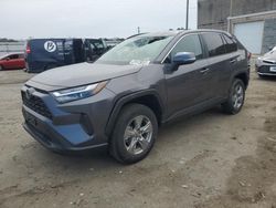 Salvage cars for sale at Fredericksburg, VA auction: 2024 Toyota Rav4 XLE