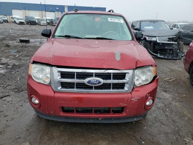 2012 Ford Escape XLT