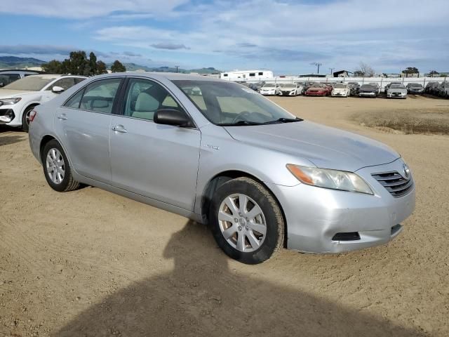 2007 Toyota Camry Hybrid