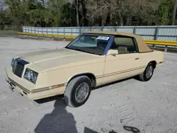 Chrysler Lebaron salvage cars for sale: 1982 Chrysler Lebaron