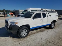 Salvage cars for sale at Arcadia, FL auction: 2023 Toyota Tacoma Access Cab