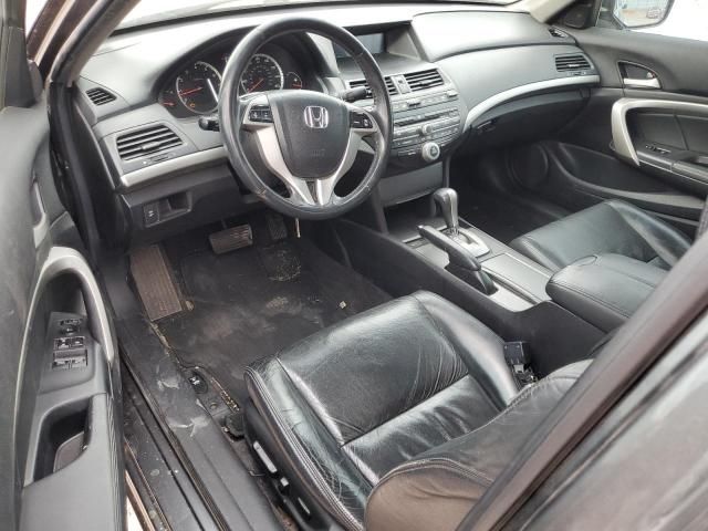 2008 Honda Accord EXL