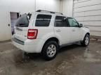 2010 Ford Escape Limited