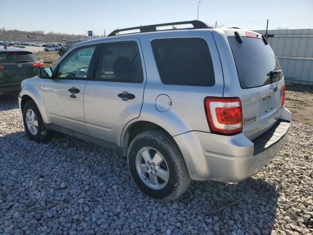 2010 Ford Escape XLT