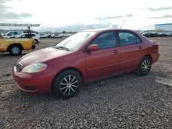 Salvage cars for sale at Phoenix, AZ auction: 2008 Toyota Corolla CE