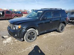 2010 Ford Escape XLT en venta en Columbus, OH