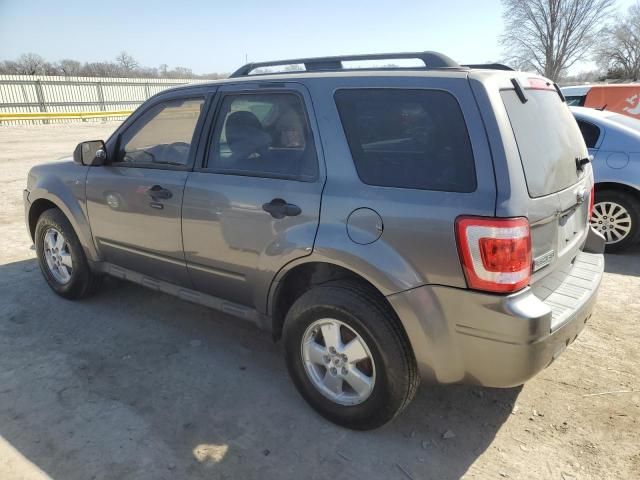 2010 Ford Escape XLT