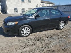 2010 Toyota Corolla Base en venta en York Haven, PA