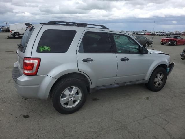 2009 Ford Escape XLT