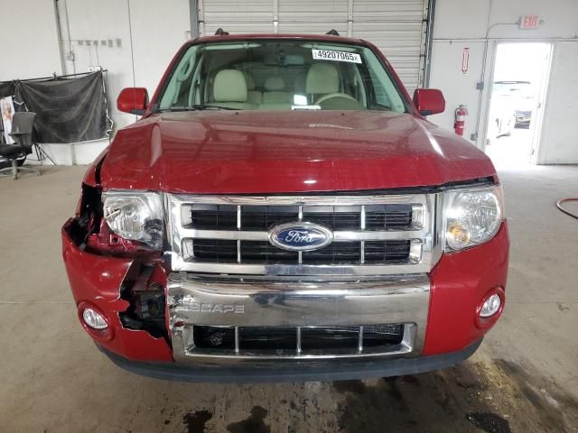 2011 Ford Escape Limited