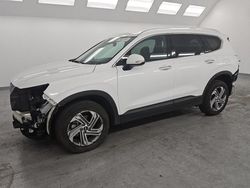 2023 Hyundai Santa FE SEL en venta en Van Nuys, CA