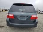 2005 Honda Odyssey EXL