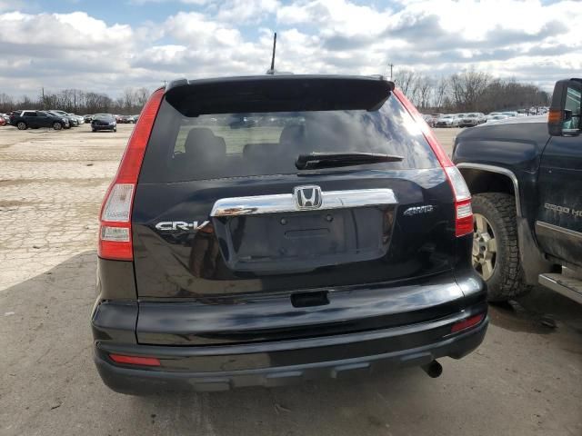 2010 Honda CR-V EXL