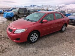 Carros salvage a la venta en subasta: 2009 Toyota Corolla Base