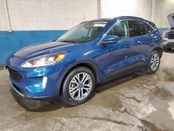 Ford Escape sel salvage cars for sale: 2020 Ford Escape SEL