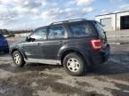 2008 Ford Escape XLS