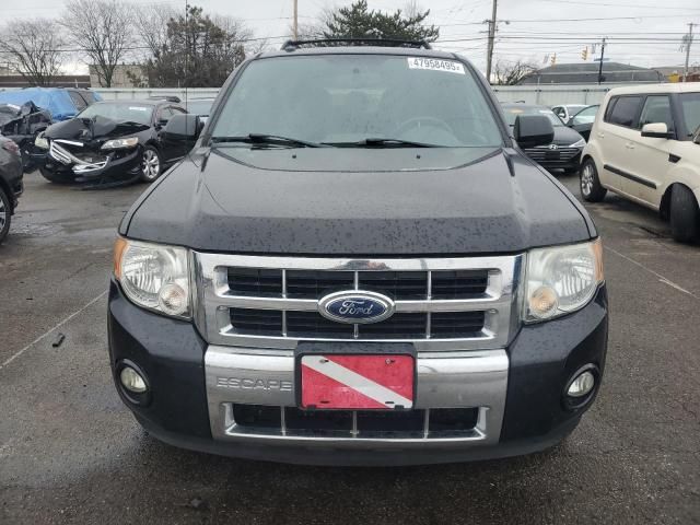 2011 Ford Escape Limited