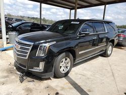 Cadillac Vehiculos salvage en venta: 2016 Cadillac Escalade ESV Platinum