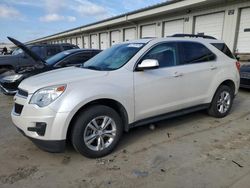 Salvage cars for sale from Copart Louisville, KY: 2013 Chevrolet Equinox LT