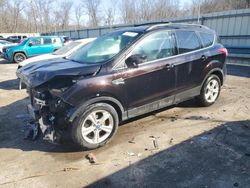 Salvage cars for sale at Ellwood City, PA auction: 2013 Ford Escape SE