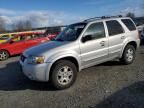 2007 Ford Escape Limited