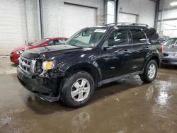 Ford salvage cars for sale: 2012 Ford Escape XLT