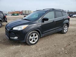 Salvage cars for sale at Columbus, OH auction: 2013 Ford Escape SE