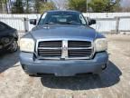 2006 Dodge Dakota Quad SLT