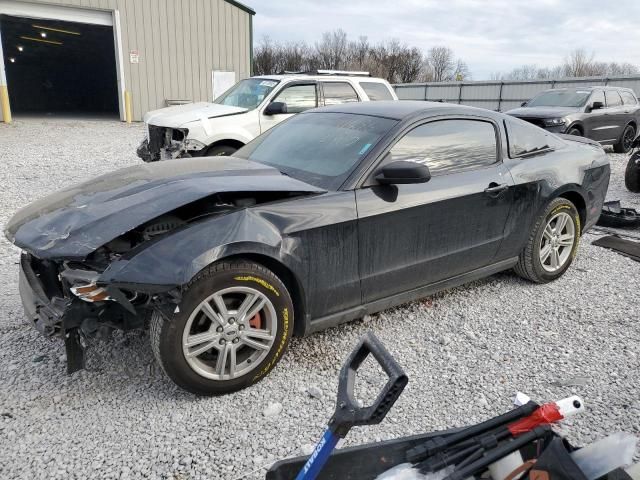 2010 Ford Mustang