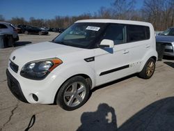 Salvage cars for sale at Ellwood City, PA auction: 2013 KIA Soul